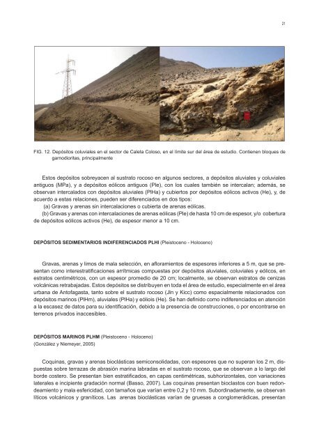 GEOLOGÍA PARA EL ORDENAMIENTO TERRITORIAL ÁREA DE ANTOFAGASTA