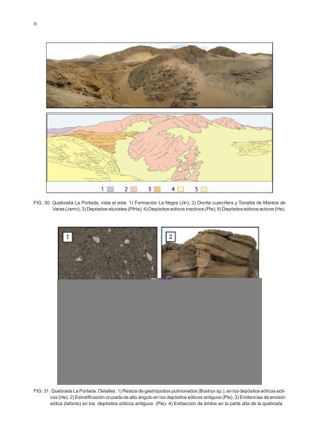 GEOLOGÍA PARA EL ORDENAMIENTO TERRITORIAL ÁREA DE ANTOFAGASTA