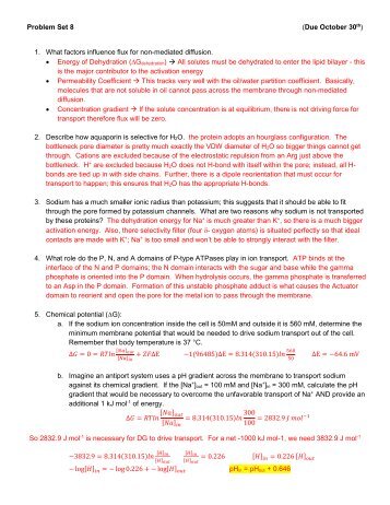 Problem Set 8 Key