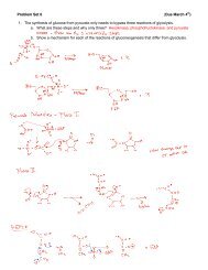 Problem Set 6 (Due February 26th) 1. Gluconeogenesis: a. What ...