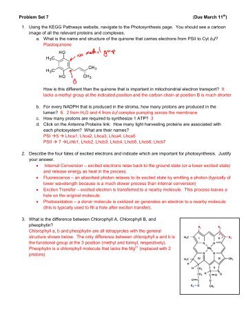 Problem Set 7 Key