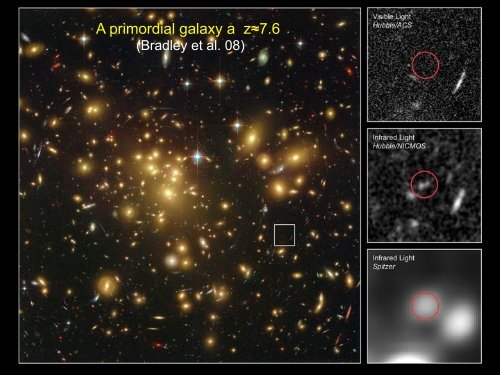 Structure Formation and Cosmology with high-z Clusters