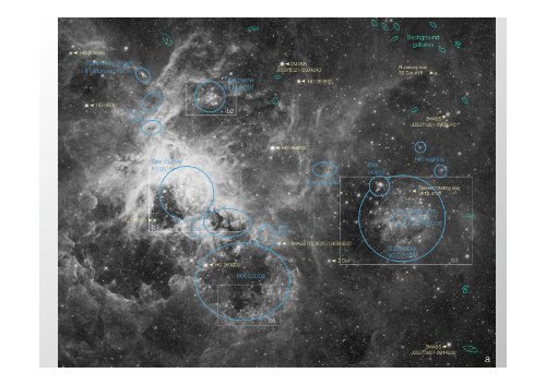 Multi-object spectroscopy of massive stars in the Local Group and beyond