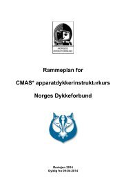Rammeplan for CMAS* apparatdykkerinstruktørkurs Norges Dykkeforbund