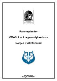 CMAS  apparatdykkerkurs Norges Dykkeforbund
