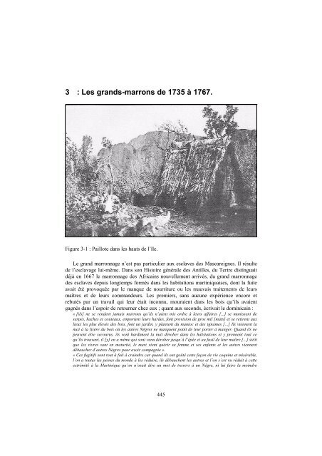 3  Les grands-marrons de 1735 à 1767