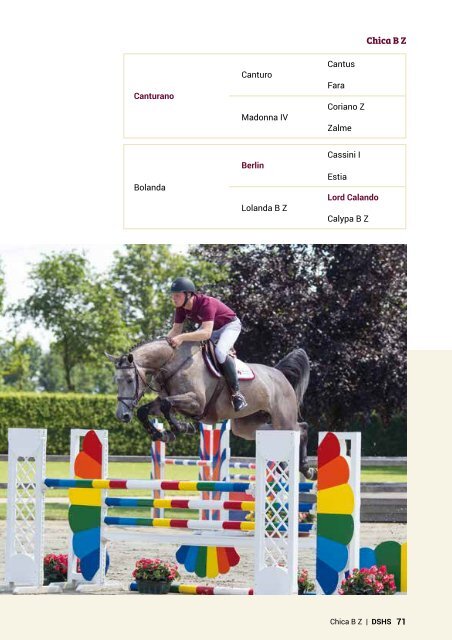 Dutch Sport Horse Sales Catalogue 2015