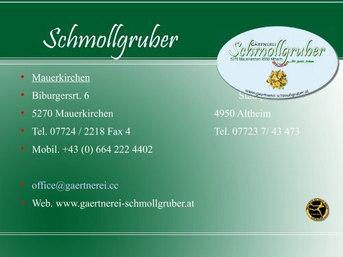 PPP Schmollgruber ppp.pdf