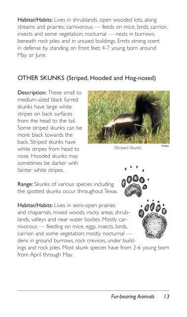 WILDLIFE IDENTIFICATION