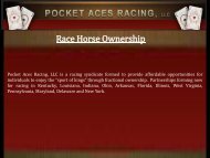 Race Horse Ownership.pdf