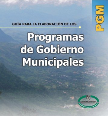 GUIA PARA LA ELABORACIÓN DE LOS PROGRAMAS DE GOBIERNO MUNICIPALES