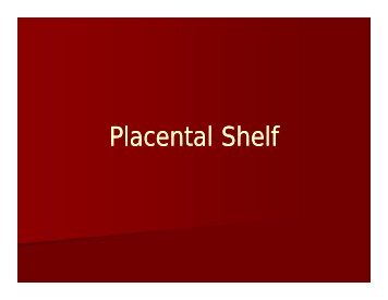 Placental Shelf