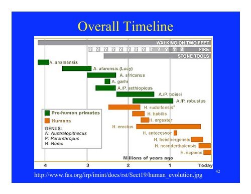 Evidence for Evolution – The Fossil Record