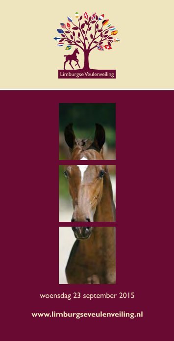 Catalogue Limburg Foal Auction 2015.pdf