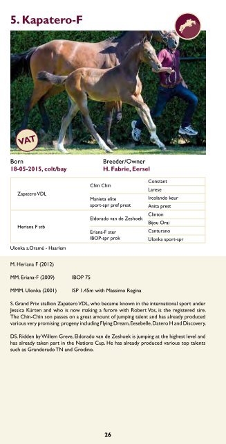 Catalogue Limburg Foal Auction 2015.pdf