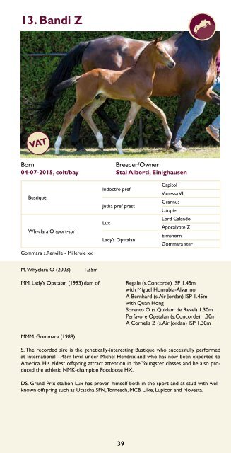 Catalogue Limburg Foal Auction 2015.pdf