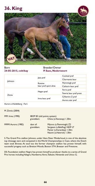 Catalogue Limburg Foal Auction 2015.pdf