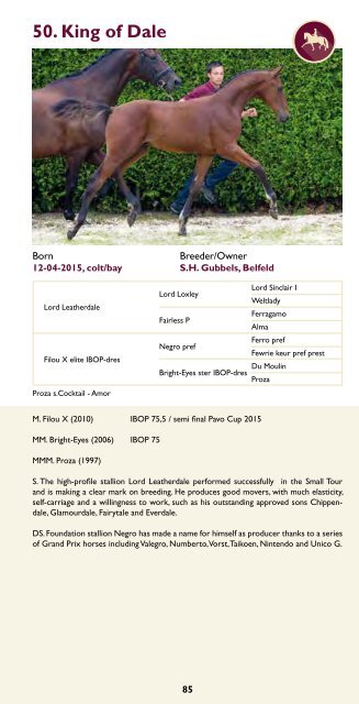 Catalogue Limburg Foal Auction 2015.pdf