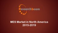 MES Market in North America 2015-2019.pdf