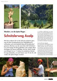 Schnitzlerweg Axalp - ADLER Medien