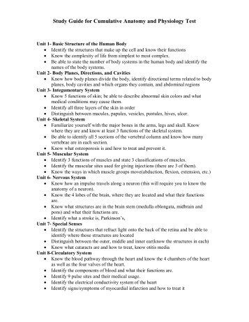 study guide for anatomy test 1 How i got an a on the excelsior anatomy physiology exam in 2 i am going to use larend's study guide /notes excelsior college anatomy physiology exam cd. study guide for anatomy test 1 How i got an a on the excelsior anatomy physiology exam in 2 i am going to use larend's study guide /notes excelsior college anatomy physiology exam cd.