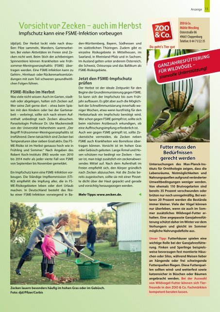 Das Stadtmagazin 9.pdf