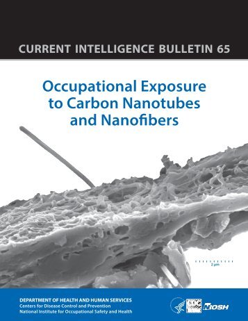 Occupational Exposure to Carbon Nanotubes and Nanofibers