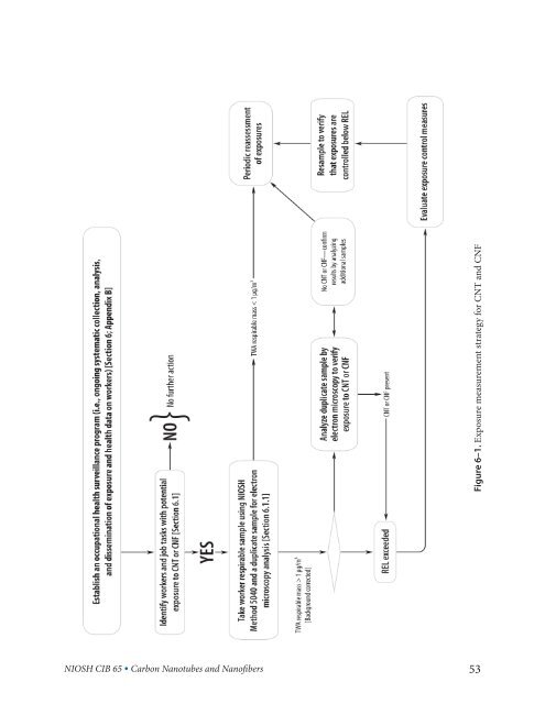 Occupational Exposure to Carbon Nanotubes and Nanofibers