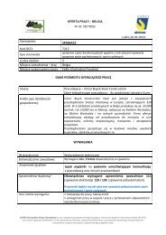 Oferta Pracy Nr 1152013 Spawacz Pdf 20474kb