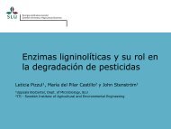 Enzimas ligninolíticas y su rol en la degradación de pesticidas