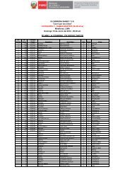 PLANILLA GENERAL DE RESULTADOS