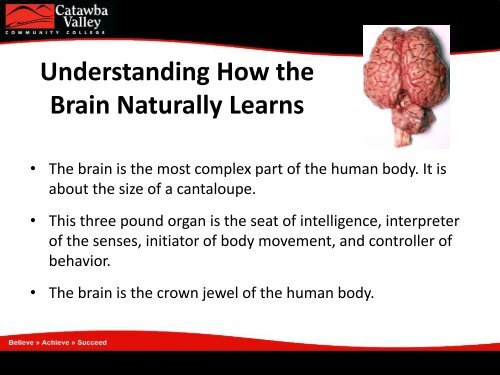 Brain Naturally Learns