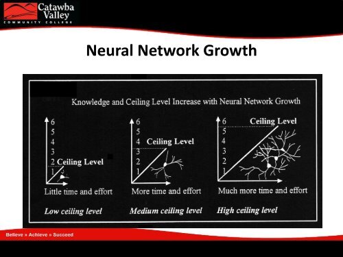 Brain Naturally Learns