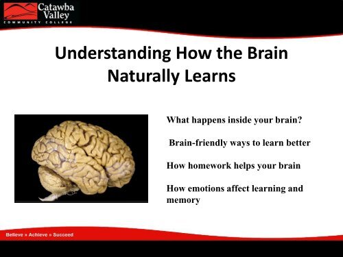 Brain Naturally Learns