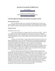 Gel Electrophoresis Results and Analysis Assessment ... - Bio-Link