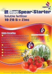 BlueSpear ®Starter