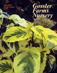 Gossler Farms Nursery