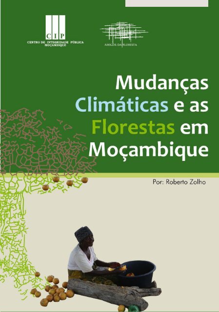 PDF) O contexto do REDD+ em Moçambique: causas, actores e instituições