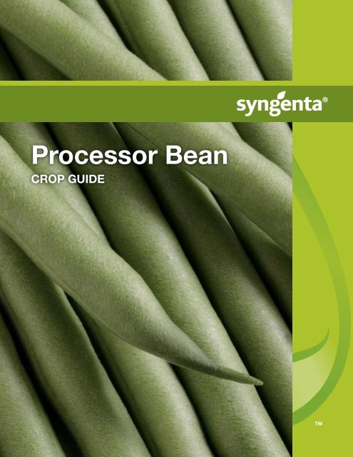 Processor Bean