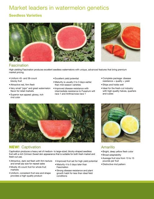 Watermelon - Syngenta