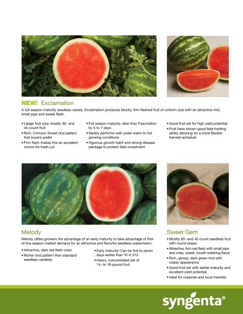 Watermelon - Syngenta