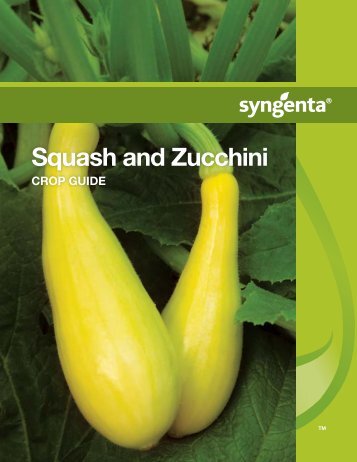 Squash and Zucchini