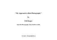 “My Approach to Bird Photography” by Ulli Hoeger