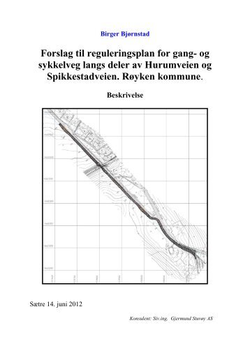 2.Planbeskrivelse med plankart og vedlegg - RÃ¸yken kommune