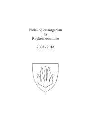 Pleie- og omsorgsplan for Røyken kommune 2008 - 2018