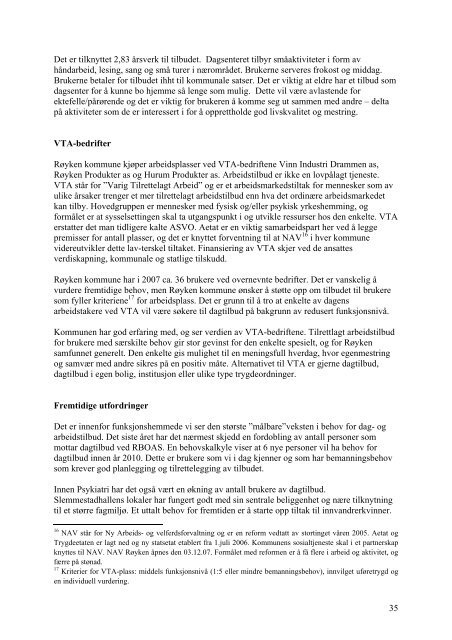 Pleie- og omsorgsplan for Røyken kommune 2008 - 2018