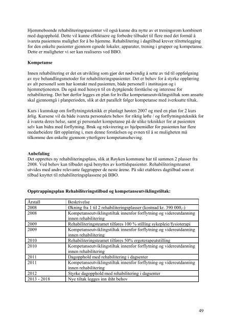 Pleie- og omsorgsplan for Røyken kommune 2008 - 2018