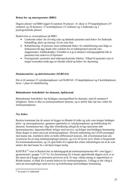 Pleie- og omsorgsplan for Røyken kommune 2008 - 2018