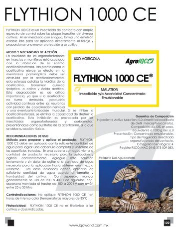 Flythion 1000 CE