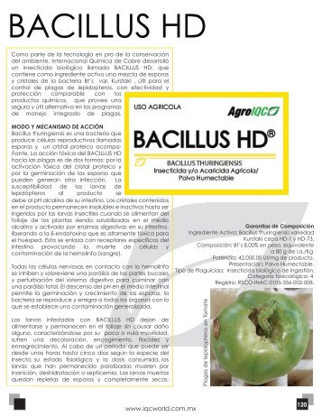 Bacillus HD